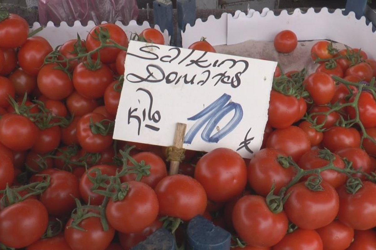 Rusya domatesi ihraç edemedi, fiyatı düştü