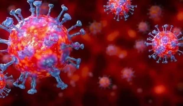 Son dakika: 2 Mart koronavirüs tablosu açıklandı!