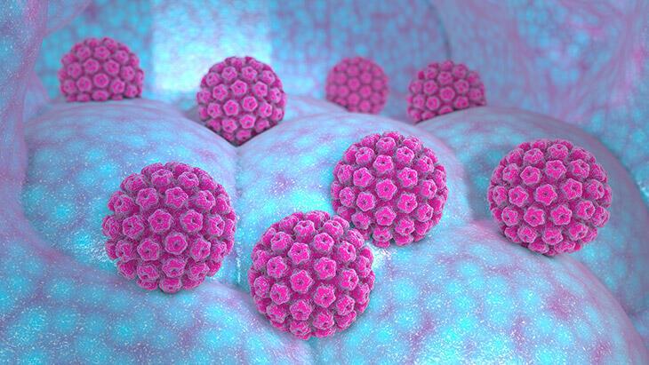 350 milyon yıllık virüs! HPV kişiden kişiye nasıl bulaşıyor?
