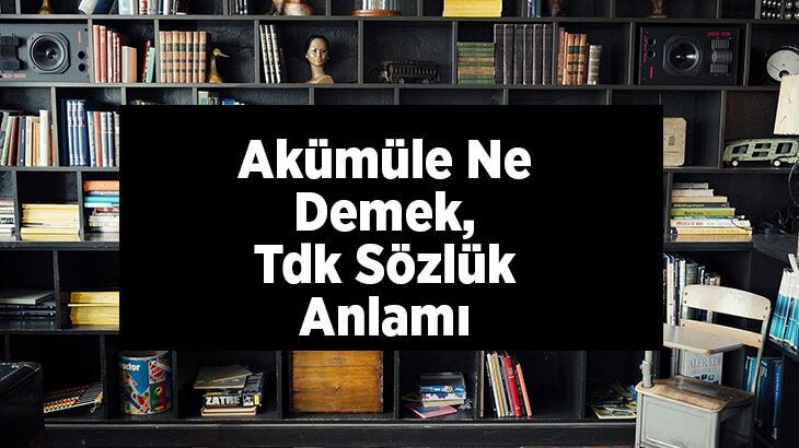 Akümüle Ne Demek, Tdk Sözlük Anlamı Nedir? Akümüle Olmak Ne Demek?