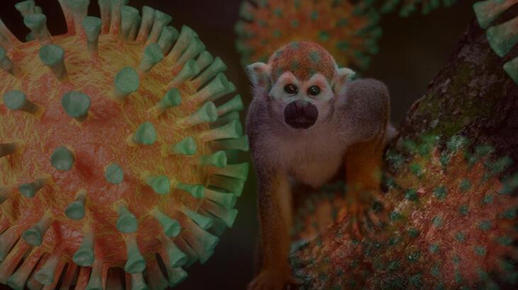 Maymun Çiçeği virüsü belirtileri nelerdir? Maymun Çiçeği virüsü nedir, nasıl bulaşır?
