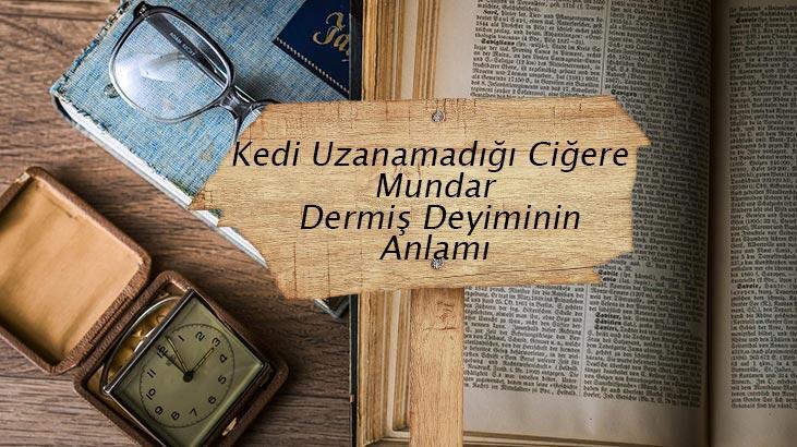 Kedi Uzanamadığı Ciğere Mundar Dermiş Deyiminin Anlamı Ne Demek? Kedi Uzanamadığı Ciğere Mundar Dermiş İle İlgili Örnek Cümleler