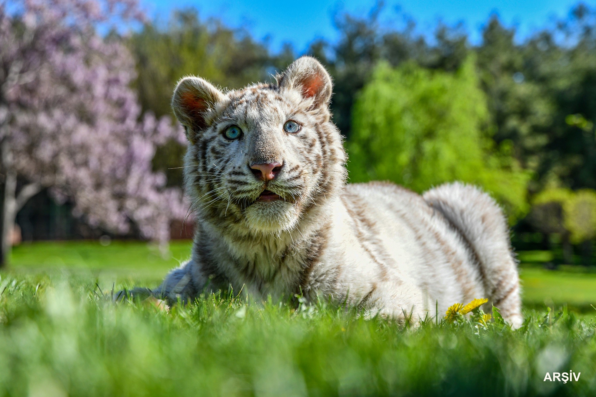 Gaziantep Doğal yaşam Parkı 9 günde 225 bin ziyaretçiyi ağırladı