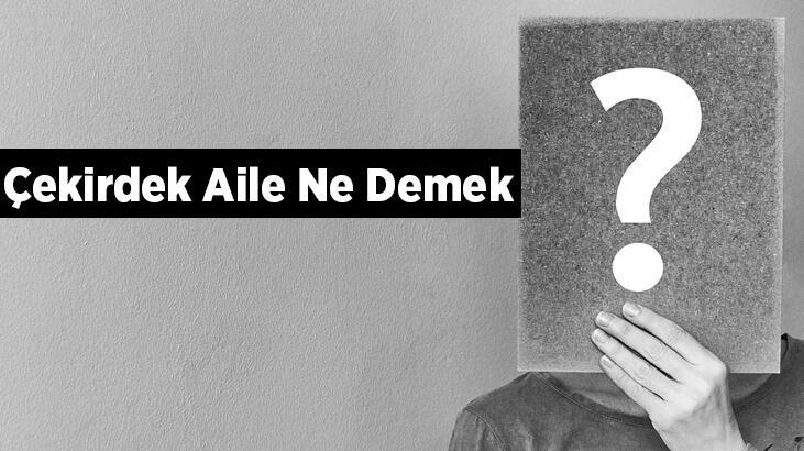 Çekirdek Aile Ne Demek, Kime Denir? Çekirdek Ailenin Özellikleri Nelerdir?