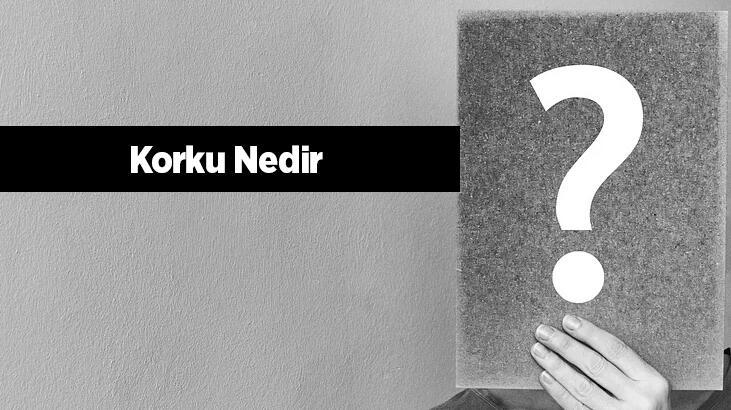 Korku Nedir, Tdk Sözlük Anlamı Ne Demek? Korku İle Nasıl Başa Çıkılır?