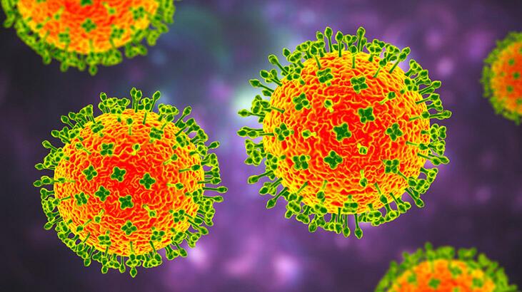 Çin’de ortaya çıkan yeni ‘Langya’ virüsü 35 kişide tespit edildi