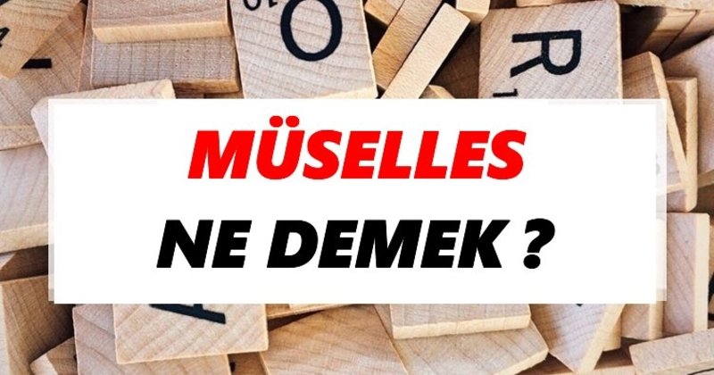 Müselles Ne Demek, Tdk Sözlük Anlamı Nedir? Edebiyatta Müselles Örnekleri Nelerdir?