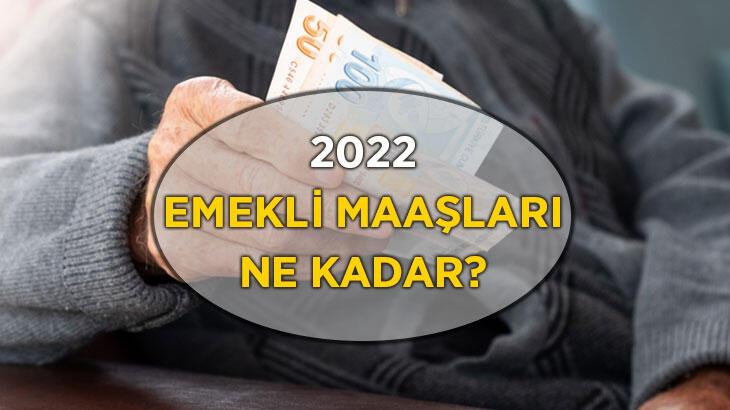 2022 Emekli Maaşı Ne Kadar? SSK ve Bağkur En Düşük Zamlı Emekli ve Memur Emekli Maaşı Ne Kadar Oldu?