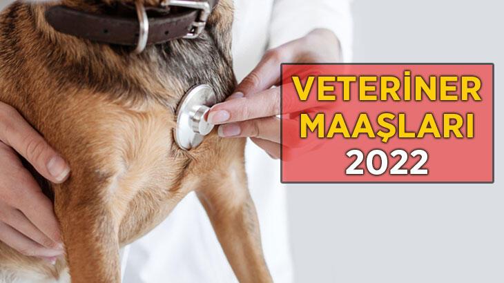 Veteriner Maaşları 2022: Özel ve Devlette Veteriner Hekim Maaşı Ne Kadar?