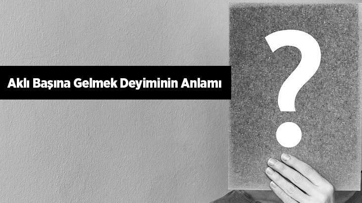 Aklı Başına Gelmek Deyiminin Anlamı Ne Demek? Aklı Başına Gelmek İle İlgili Örnek Cümleler