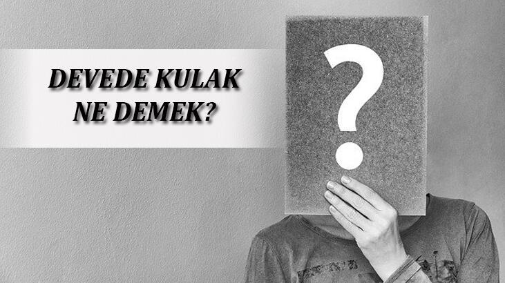 Devede Kulak Ne Demek? Devede Kulak Deyiminin Tdk Sözlük Anlamı Nedir?