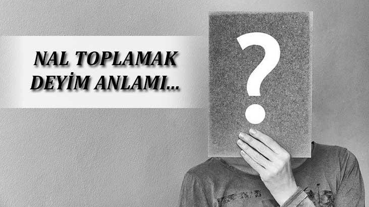 Nal Toplamak Deyiminin Anlamı Ne Demek? Nal Toplamak İle İlgili Örnek Cümleler