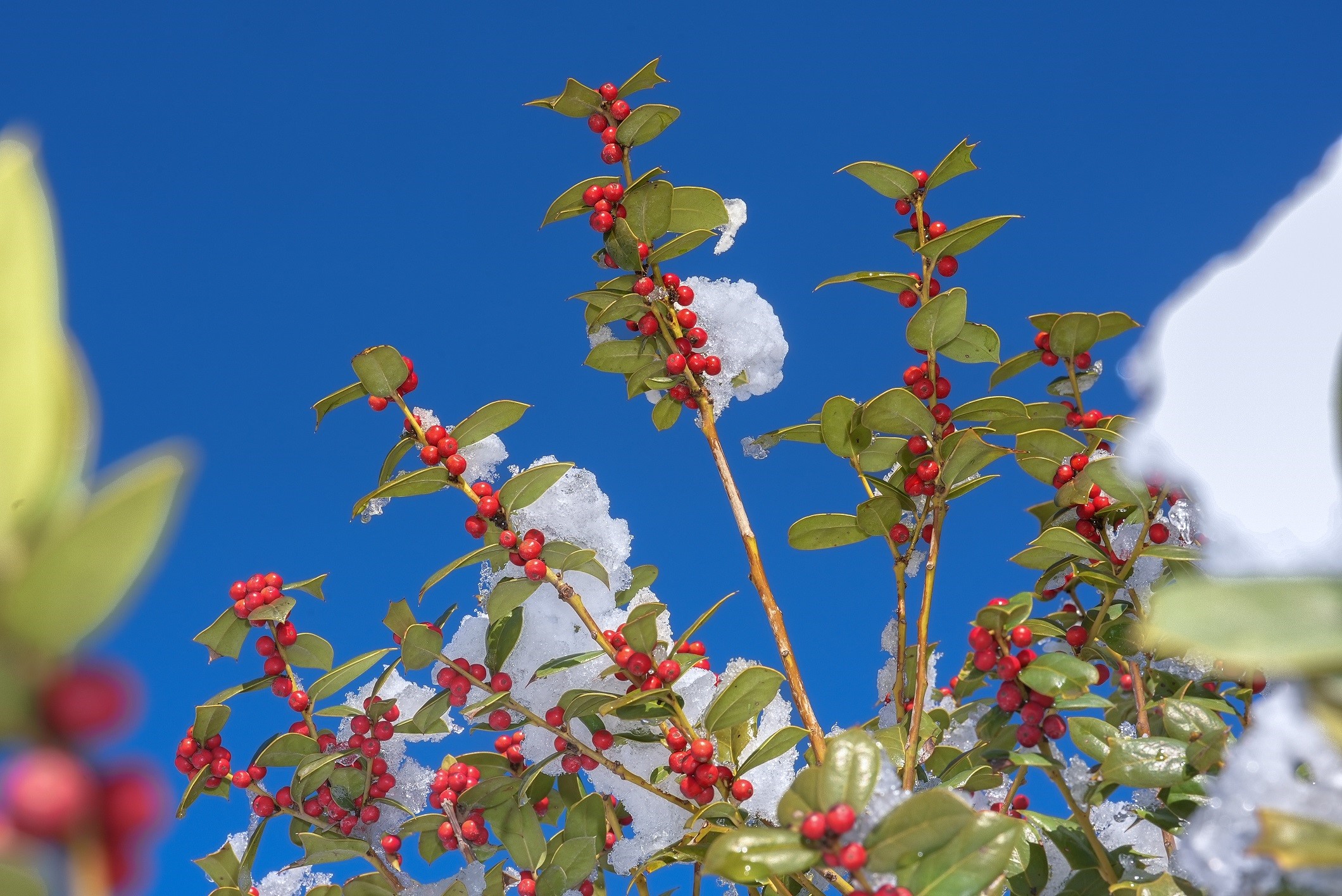 Şehitkamil’de kartpostallık görüntüler