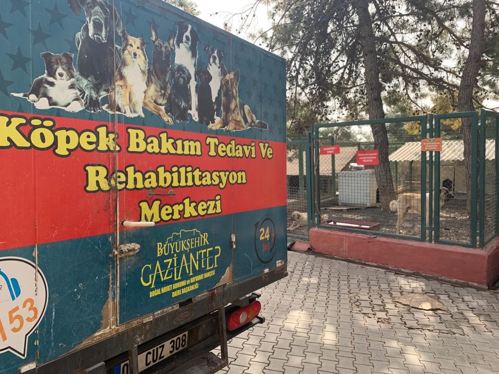 Gaziantep hayvan barınağı depremzede hayvanları sahipleniyor