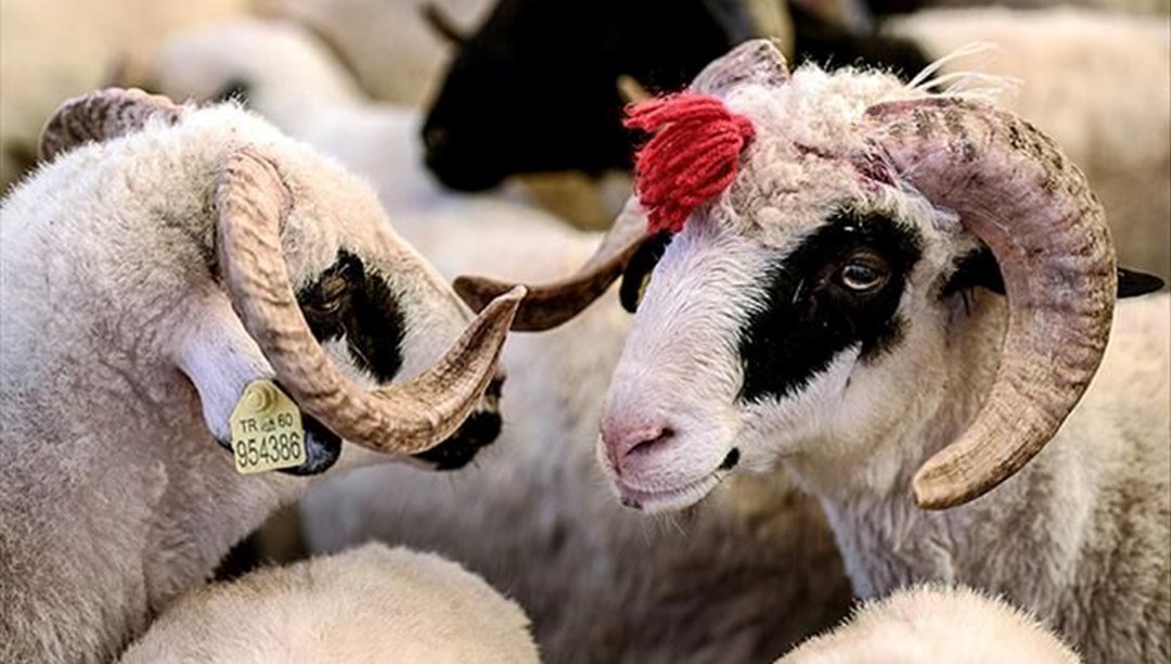 Arife günü ne zaman idrak edilecek? 2023 Kurban Bayramı arifesi için geri sayım