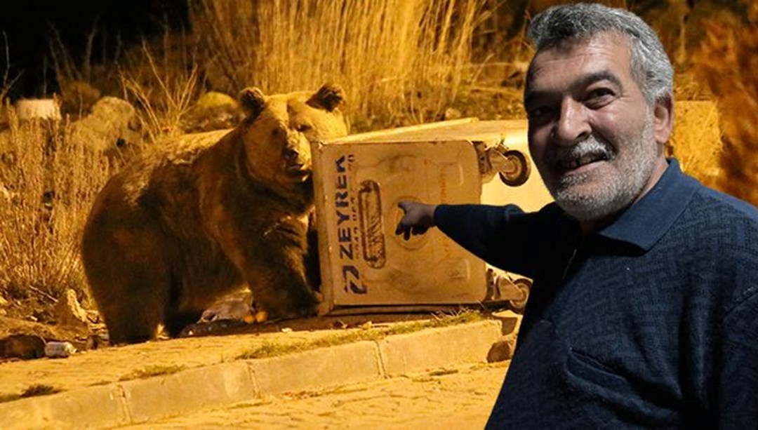 Dünyada tek göç edebilen ayı türü: Sarıkamış’ta çöpten beslenirken görüntülendi