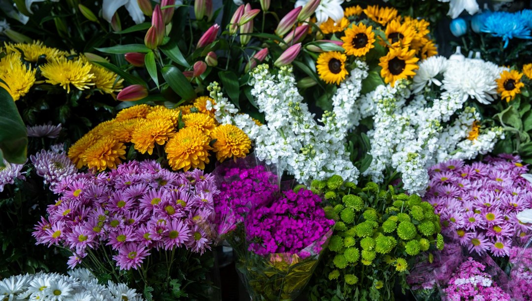 Çiçekçilerde Sevgililer Günü hazırlığı: Tek gülün fiyatı 150 lira