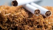 Sigaranın bağışıklığa etkileri yıllarca devam edebilir