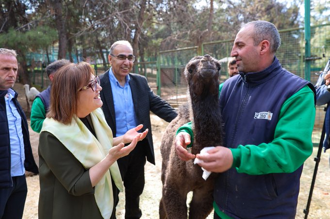 TÜRKİYE’DE DOĞAN İLK ZÜRAFA YAVRUSU, GAZİANTEP DOĞAL YAŞAM PARKI’NDA!